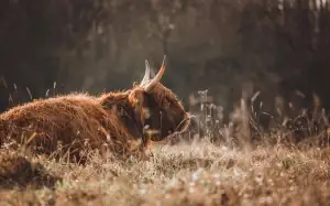 Jak Dopadne Válka Na Ukrajině Podle Astrologie